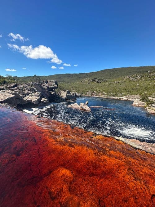 Matinha nas montanhas do Sincorá