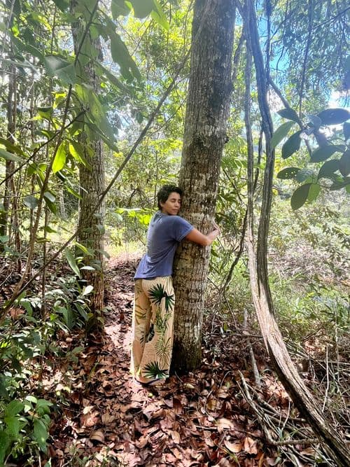 Trilha Terapêutica: Águas Claras