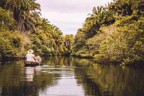 Mini Pantanal Marimbus - Transporte Incluso!