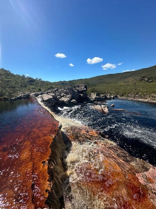 Matinha nas montanhas do Sincorá